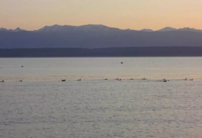 Beachfront Mutiny Bay Cabin