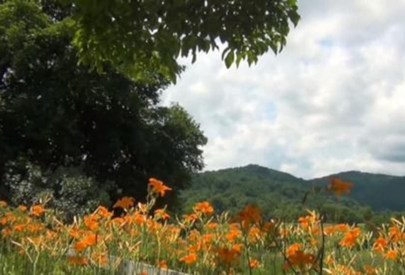 Belle Meade Bed And Breakfast