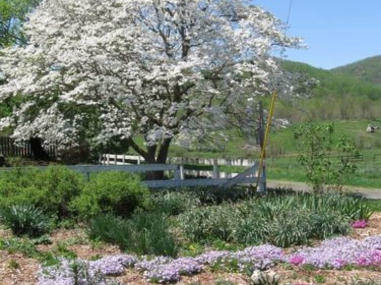 Belle Meade Bed And Breakfast