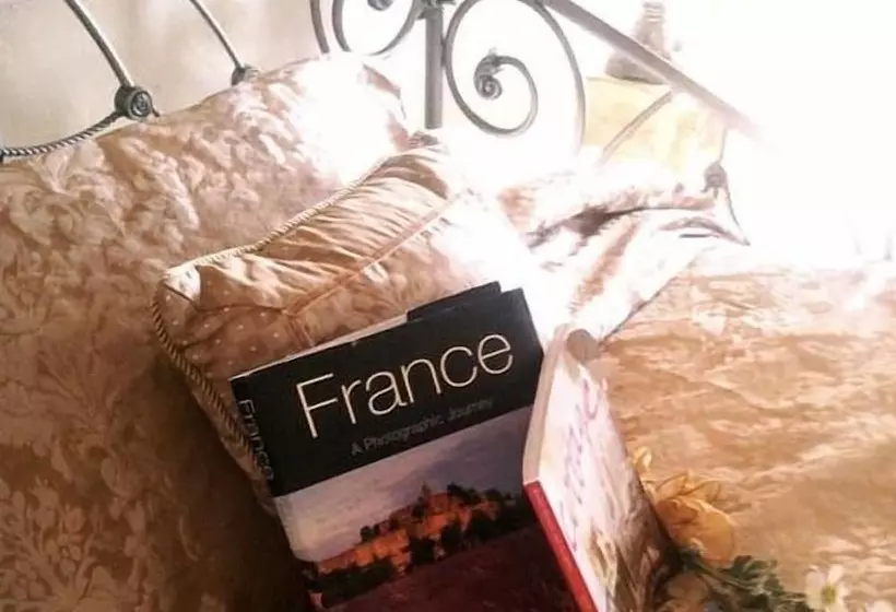 Cayuga lake inn Ithaca Hotel alt 