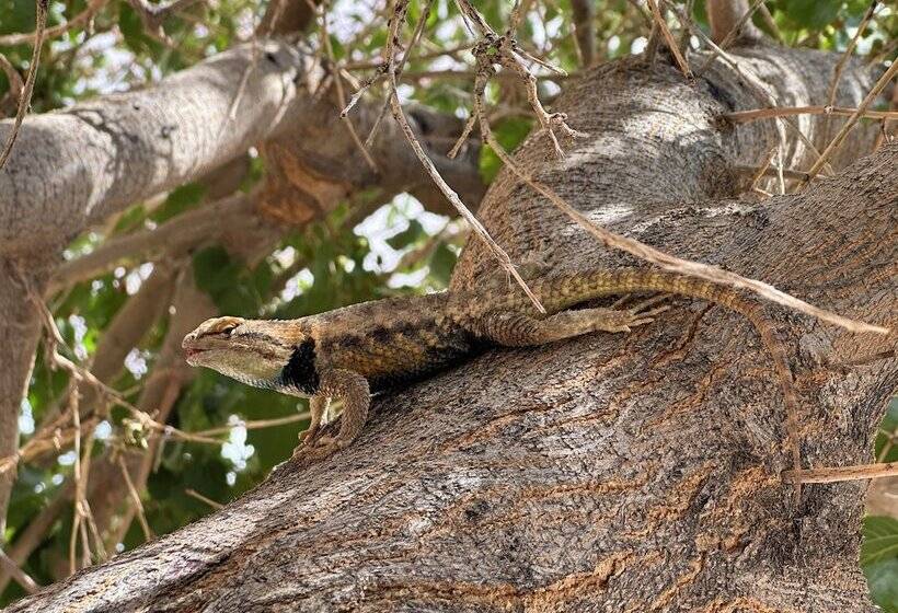 Dukes Slickrock Campground & Rv Park