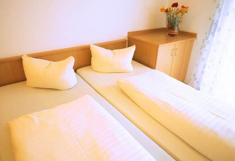 Hotel Boardinghouse Hähn