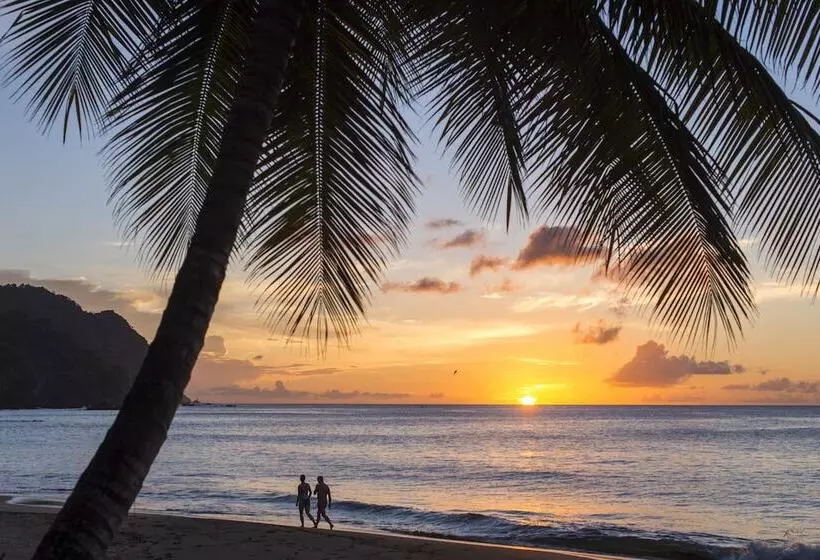 هتل Castara Retreats