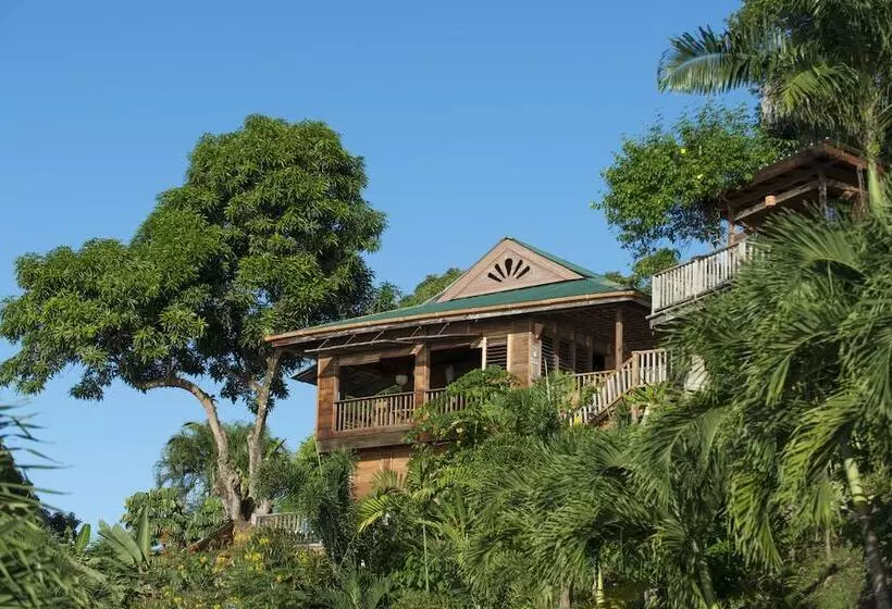 هتل Castara Retreats