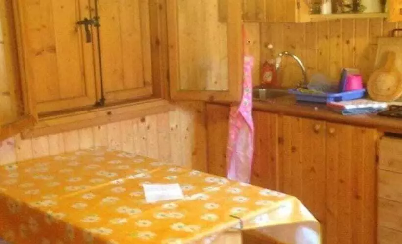 ホテル International Camping