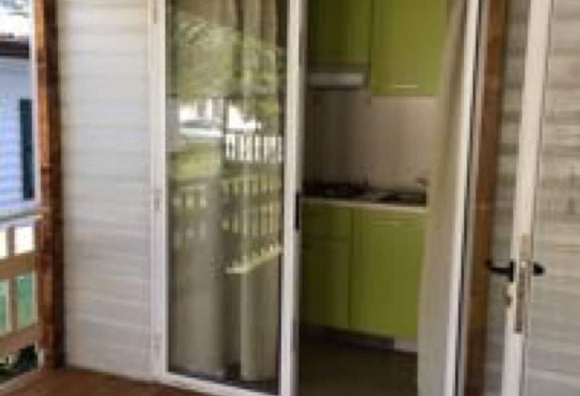 Отель International Camping