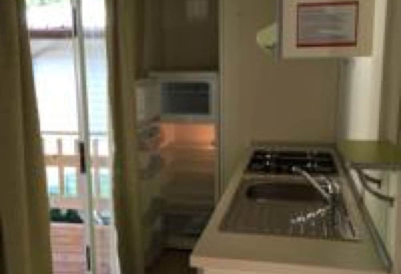 Отель International Camping