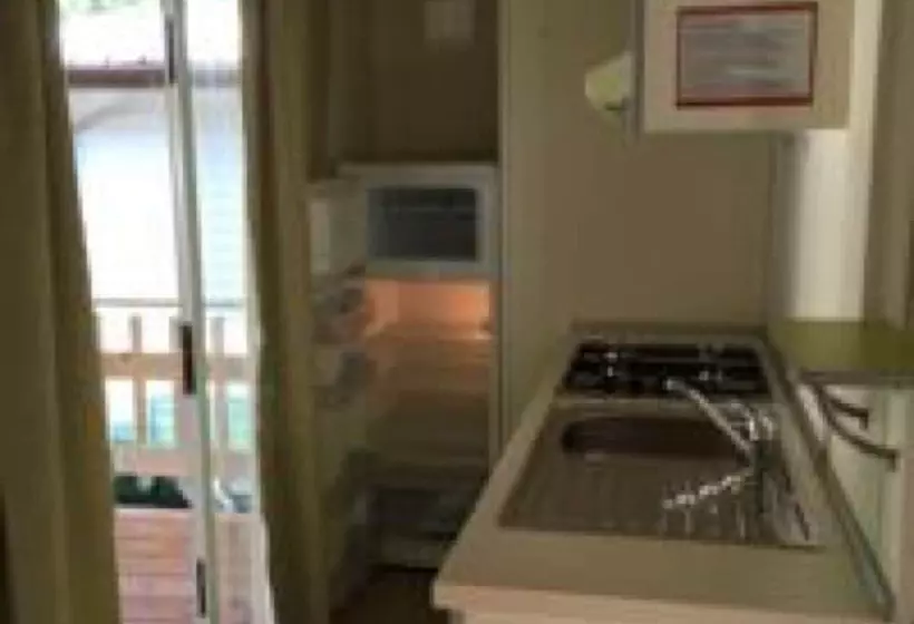 ホテル International Camping