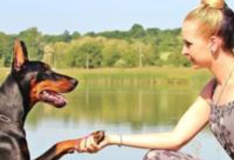 Отель International Camping