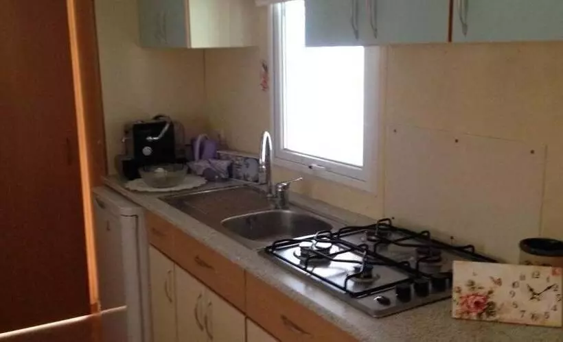 ホテル International Camping