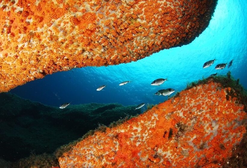 هتل Isola Dei Gabbiani Land Of Water