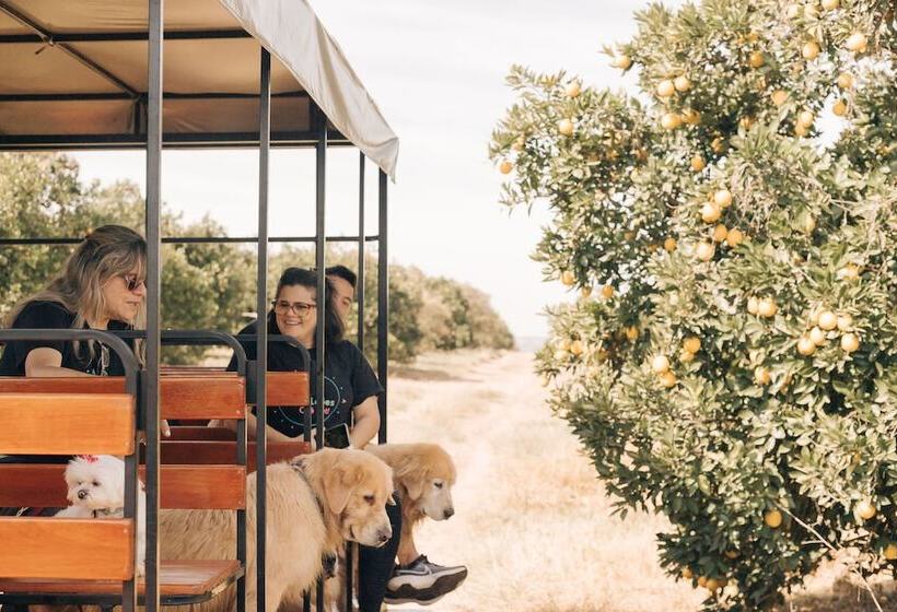 Сельский отель Fazenda Recanto Shangri Lá