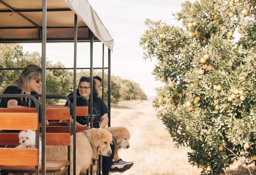 田舎風ホテル Fazenda Recanto Shangri Lá