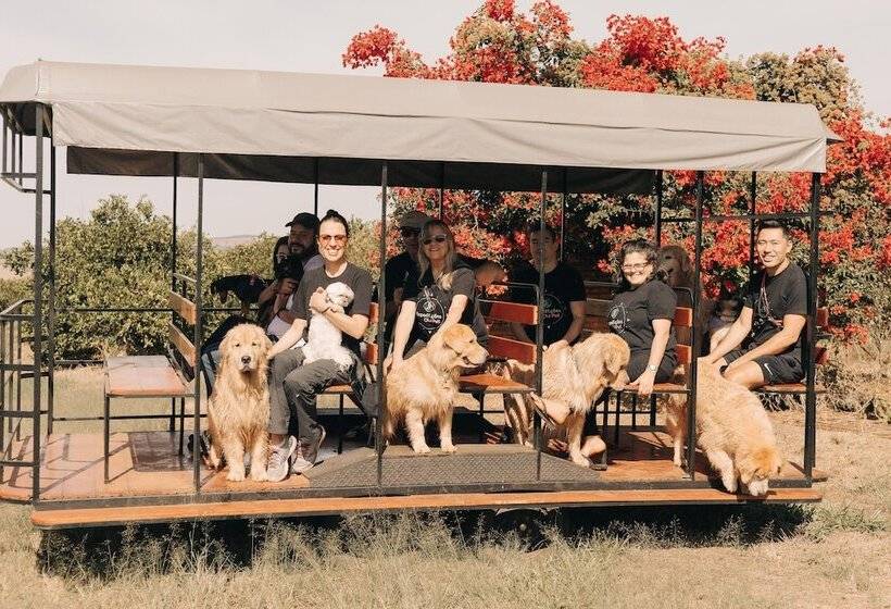 Сельский отель Fazenda Recanto Shangri Lá