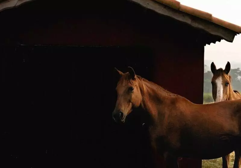 田舎風ホテル Fazenda Recanto Shangri Lá