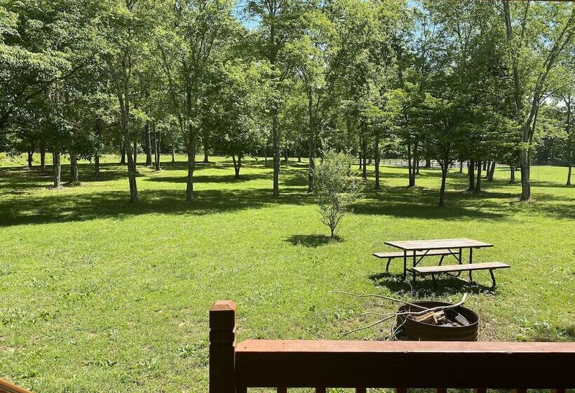 Little Tracks Cabins