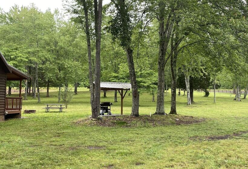 Little Tracks Cabins