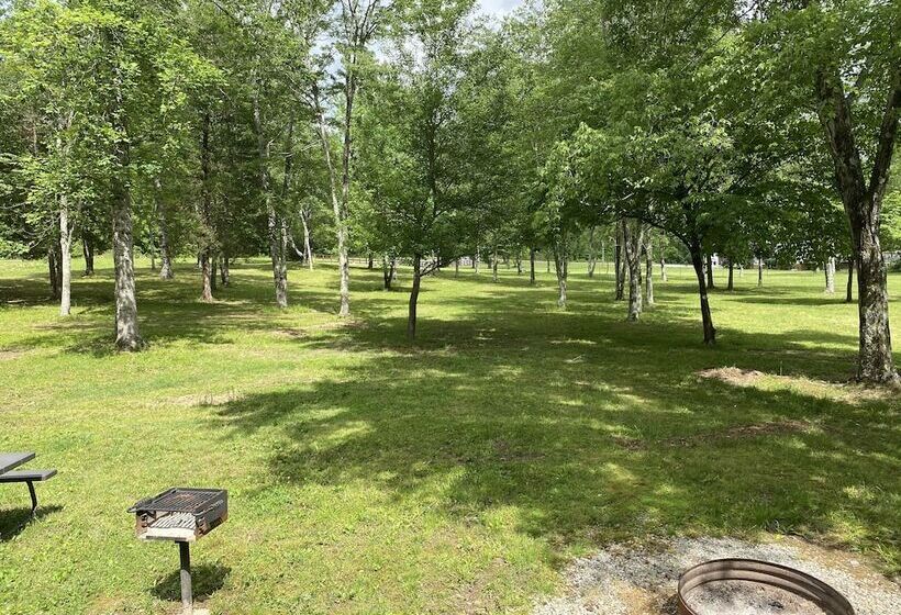 Little Tracks Cabins