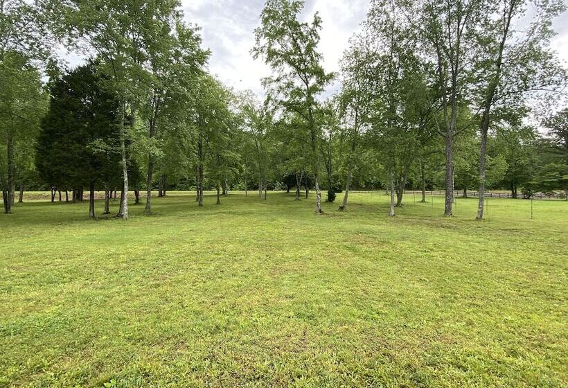 Little Tracks Cabins