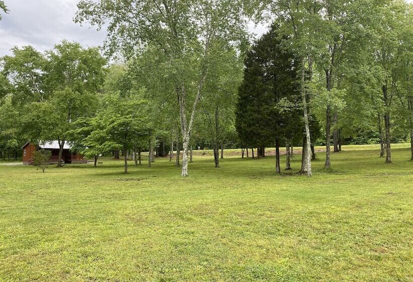 Little Tracks Cabins