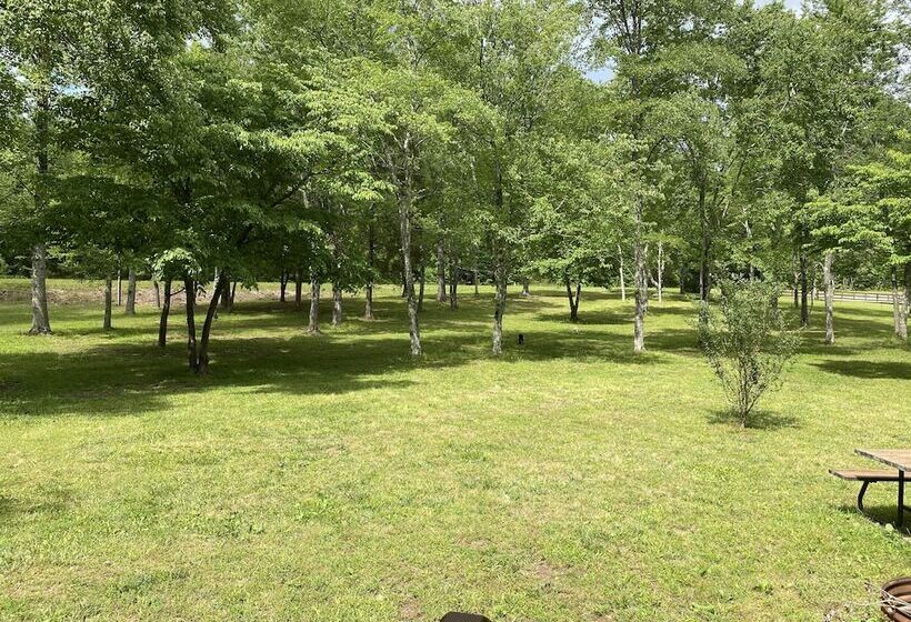 Little Tracks Cabins