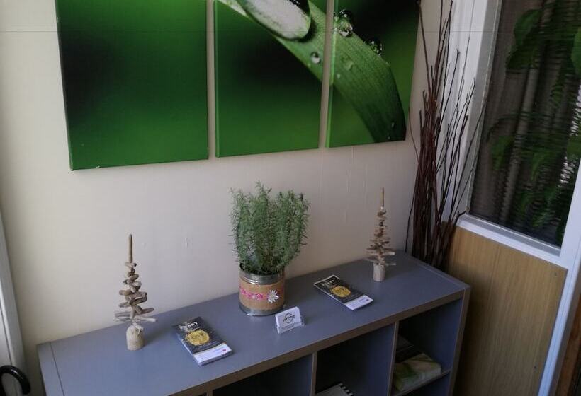 膳宿费 Driftwood B&b