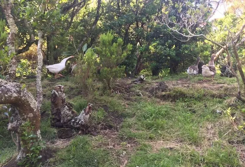 Saint Jorge Farm And Bungalows