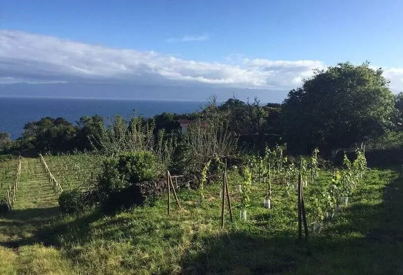 Saint Jorge Farm And Bungalows
