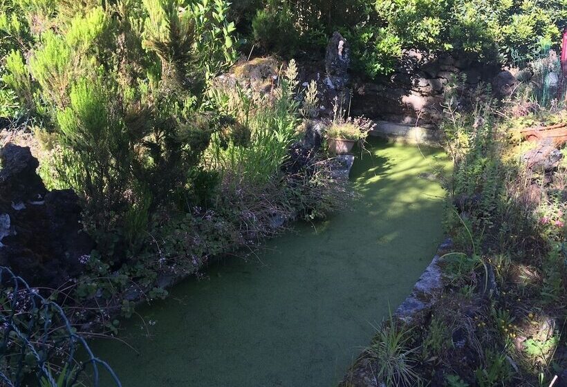 Saint Jorge Farm And Bungalows
