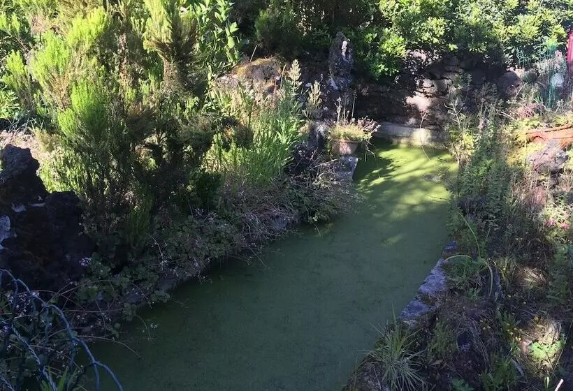 Saint Jorge Farm And Bungalows