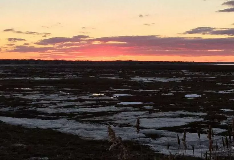 Aamiaismajoitus (B&B) Village Inn