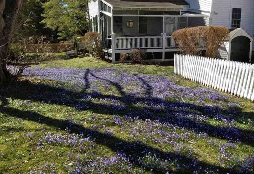 Aamiaismajoitus (B&B) Village Inn