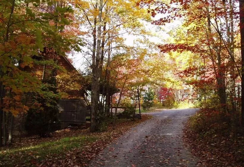 Country Road Cabins