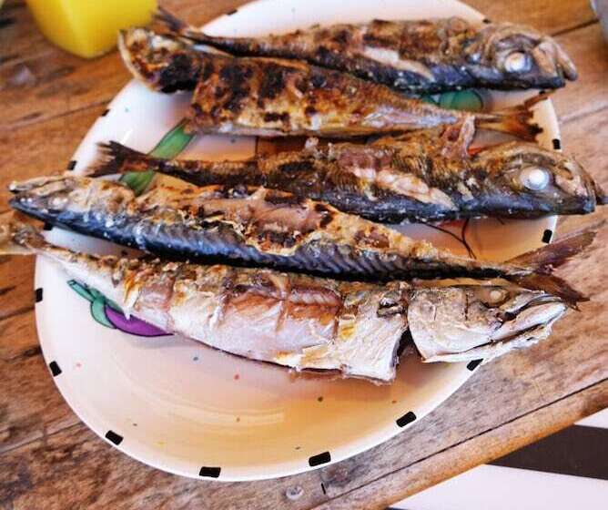 Freesurfcamp & Hostel