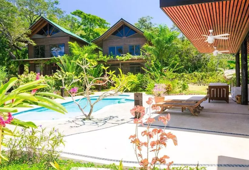 Green Bamboo Cabana