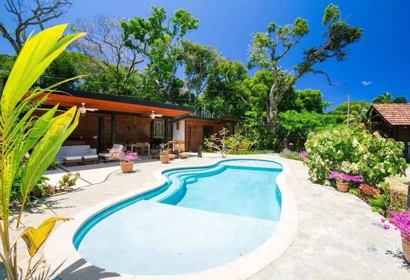 Green Bamboo Cabana
