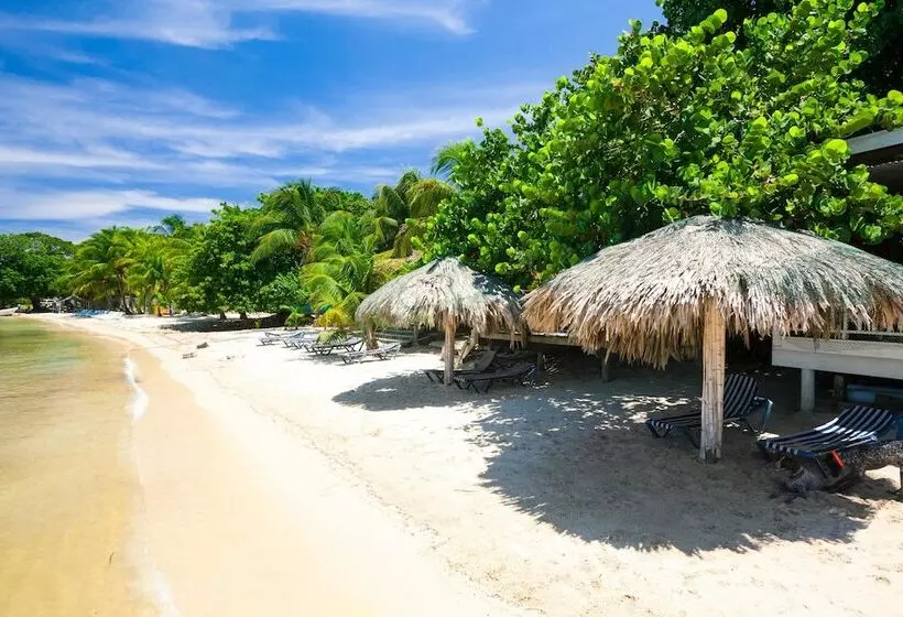 Green Bamboo Cabana