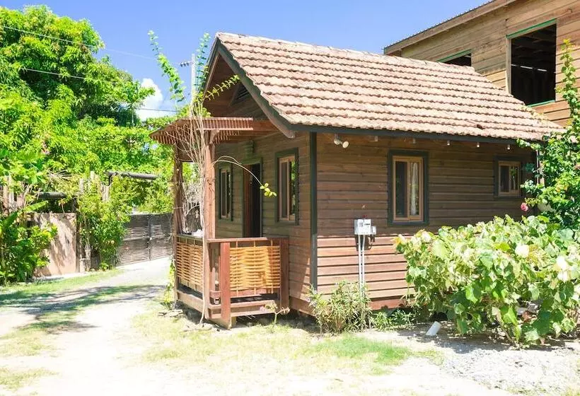 Green Bamboo Cabana