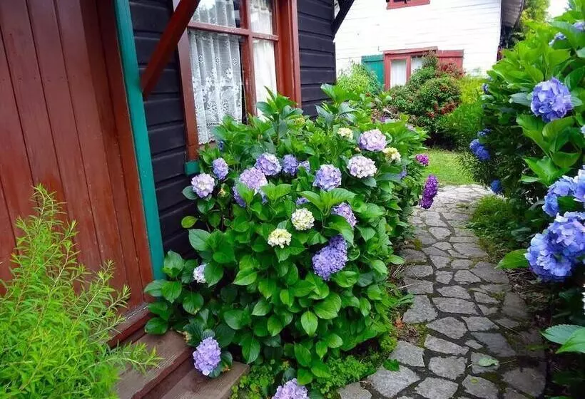 Hostal La Maison