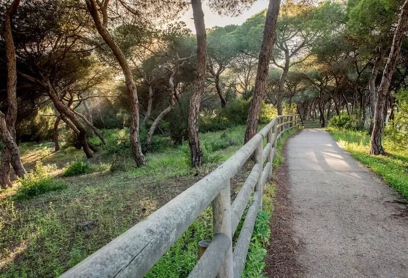 ホテル Apartamentos Costaluz Punta Umbria