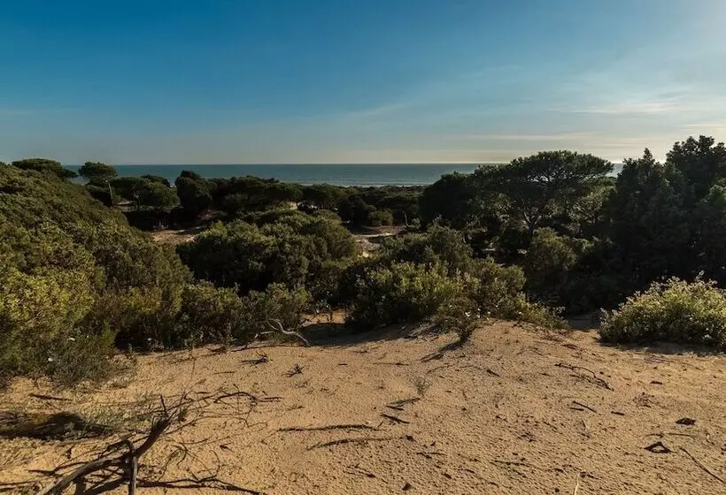 ホテル Apartamentos Costaluz Punta Umbria