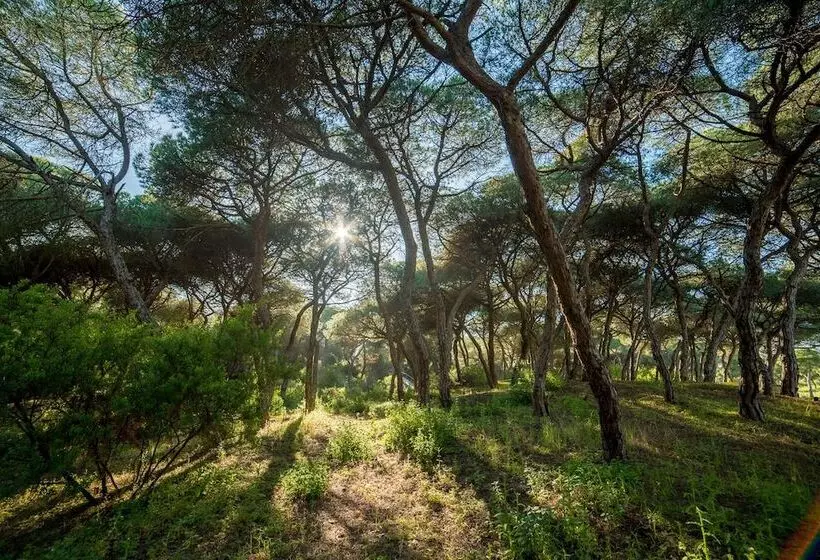 ホテル Apartamentos Costaluz Punta Umbria