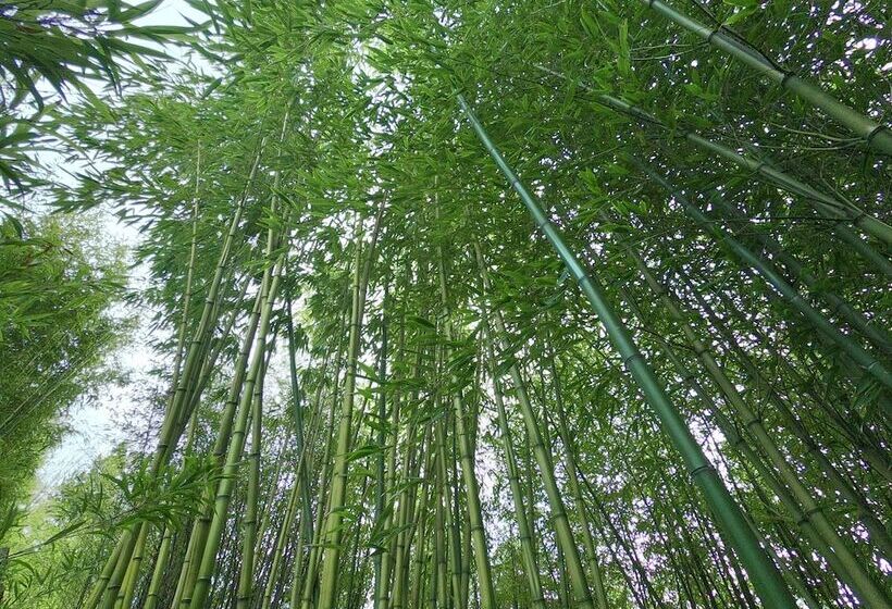 Szálloda Coast Cabins