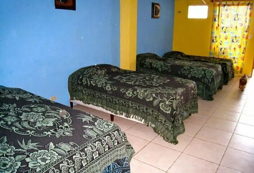 Hotelli Panama Divers & Octopus Garden Dive Center