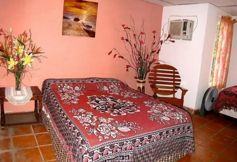 Hotelli Panama Divers & Octopus Garden Dive Center