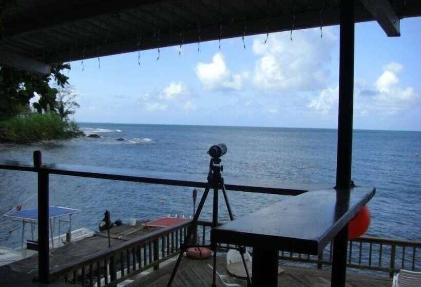 Hotel Panama Divers & Octopus Garden Dive Center