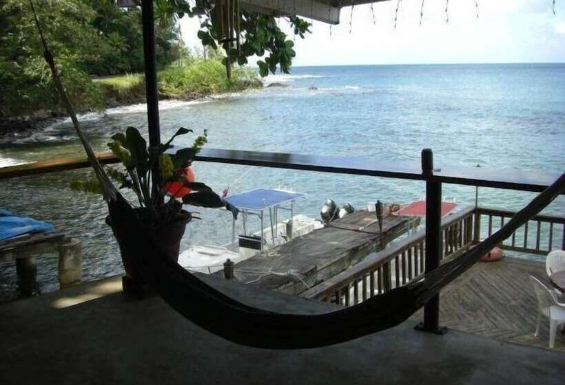 Hotel Panama Divers & Octopus Garden Dive Center