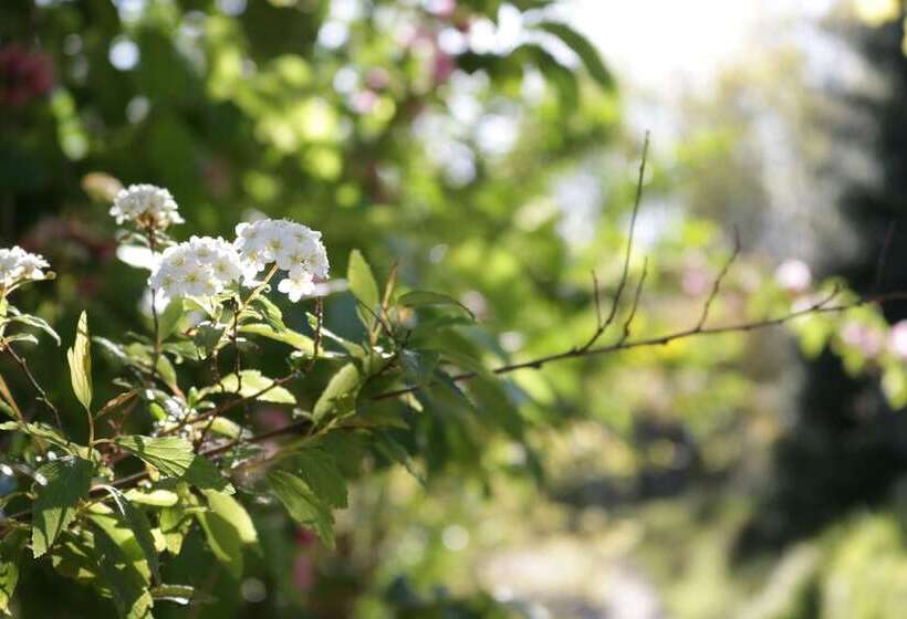 فندق ريفى Quinta De Casais