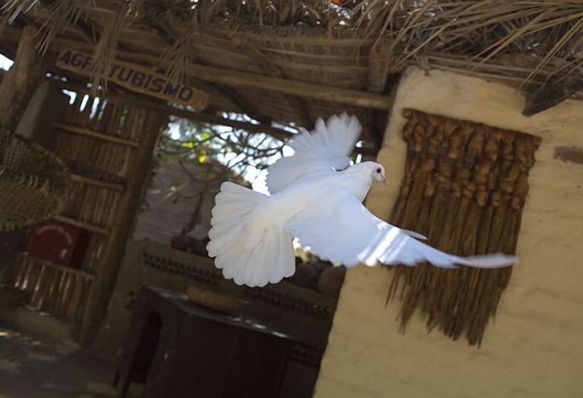 Hotel Wasipunko Nasca