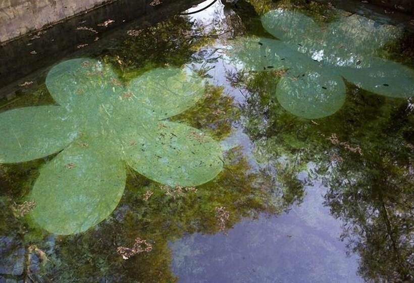 Hotel Wasipunko Nasca